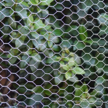 Netización de alambre hexagonal de malla de faisán agrícola